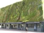 VISIT AVIGNON, Les HALLES, the Vertical Garden